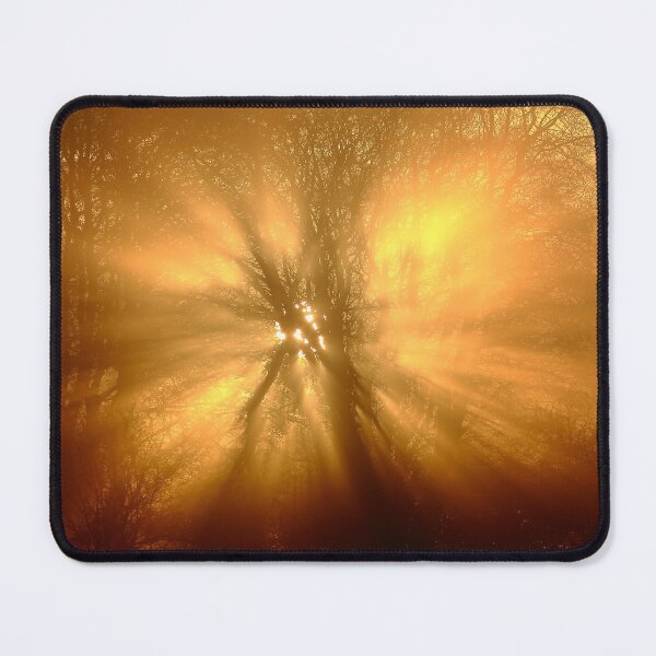 Item preview, Digital Photograph of Morning Sunlight designed and sold by SimonJohnson1.