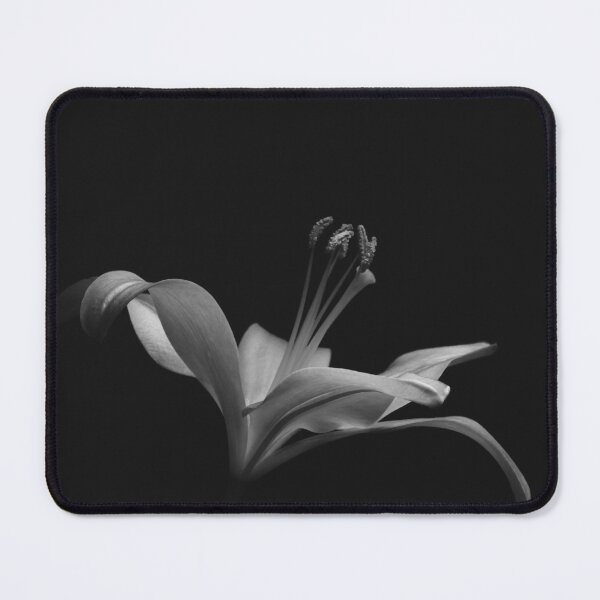 Item preview, Black and white photograph of lily  designed and sold by Lisa Thomas.