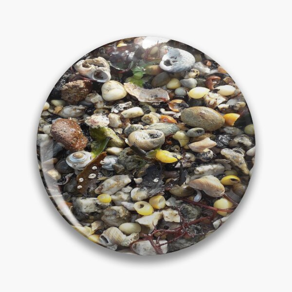 Item preview, Pebbles and Seashells S designed and sold by CharlottePe21.