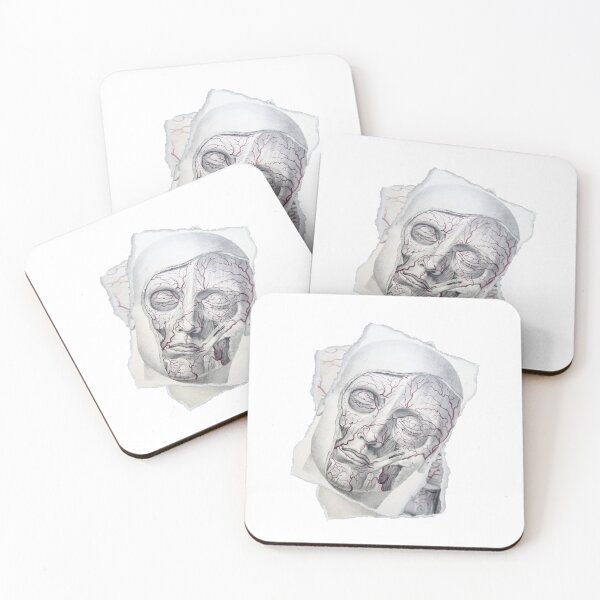 Item preview, Anatomical board Facial vascular system - Anatomical designs, human body and anatomy boards designed and sold by AdvanceDesign.