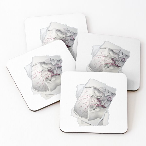 Item preview, Anatomical board Facial vascular system - Anatomical designs, human body and anatomy boards designed and sold by AdvanceDesign.