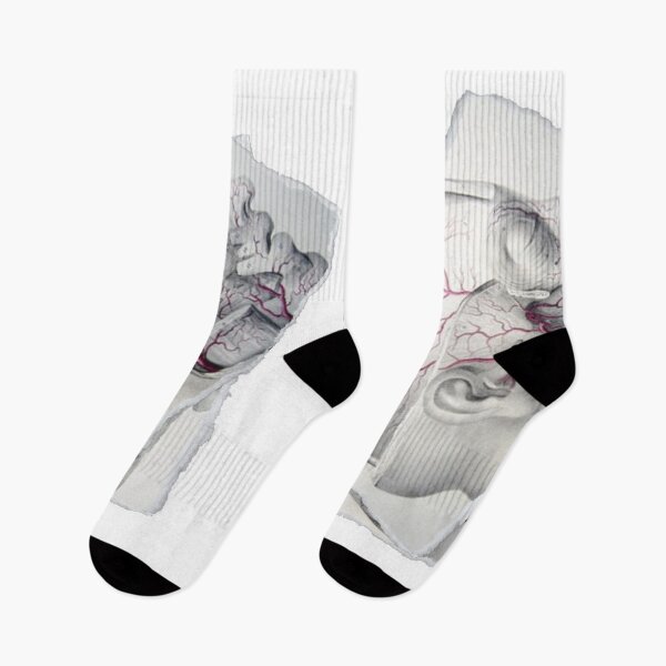 Item preview, Anatomical board Facial vascular system - Anatomical designs, human body and anatomy boards designed and sold by AdvanceDesign.