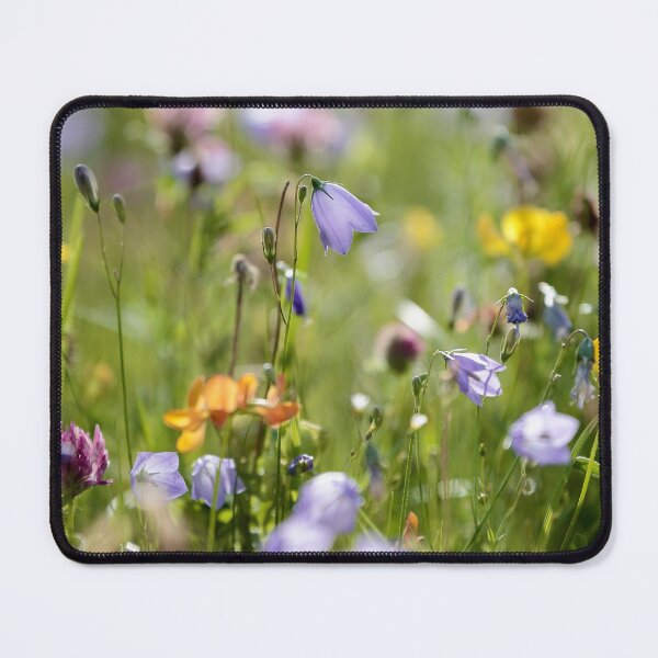 Item preview,  Digital Photograph of  harebell and Meadow Flowers Cotswolds designed and sold by SimonJohnson1.