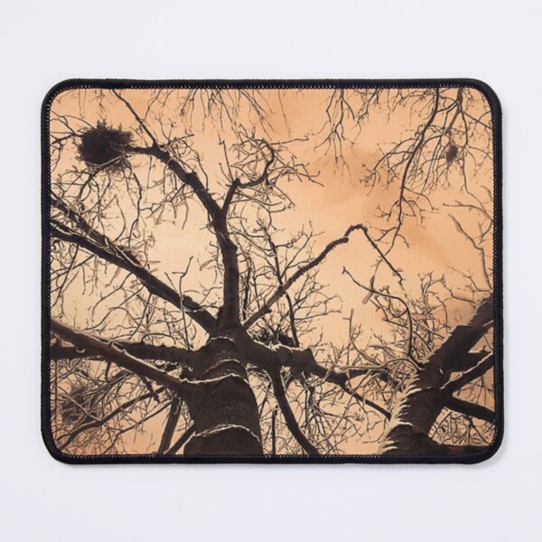 Item preview, Winter Trees At Down designed and sold by miraminerva09.