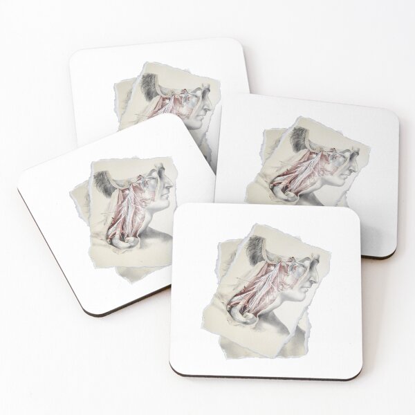 Item preview, Anatomical board Nervous system of the neck - Anatomical designs, human body and anatomy boards designed and sold by AdvanceDesign.