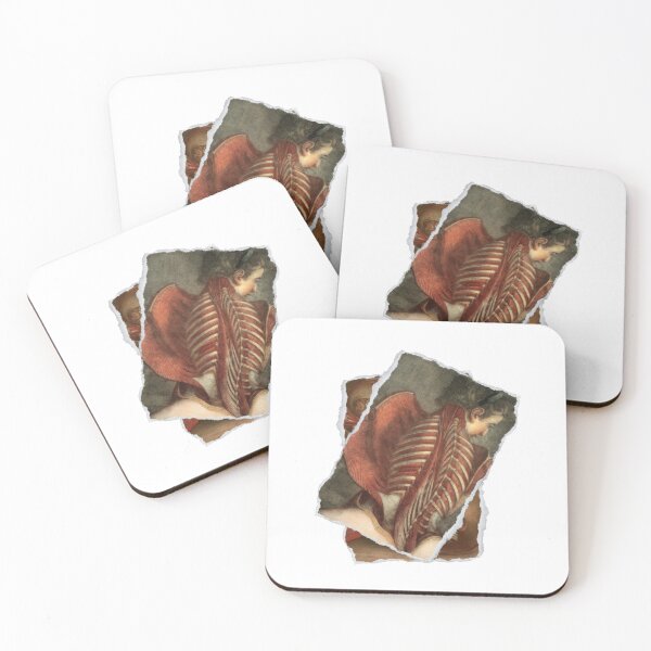 Item preview, Anatomical board Scratched back - Anatomical designs, human body and anatomy boards designed and sold by AdvanceDesign.
