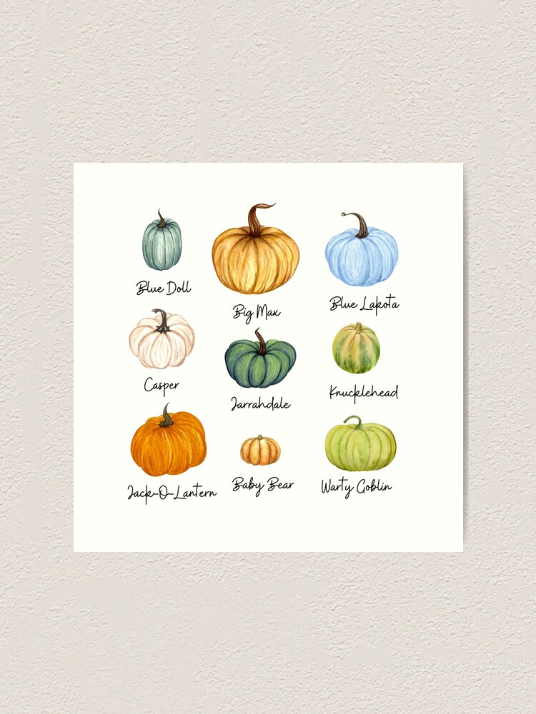 Fall Notebooks: Watercolor Pumpkin Cute Fall Notebook for Women