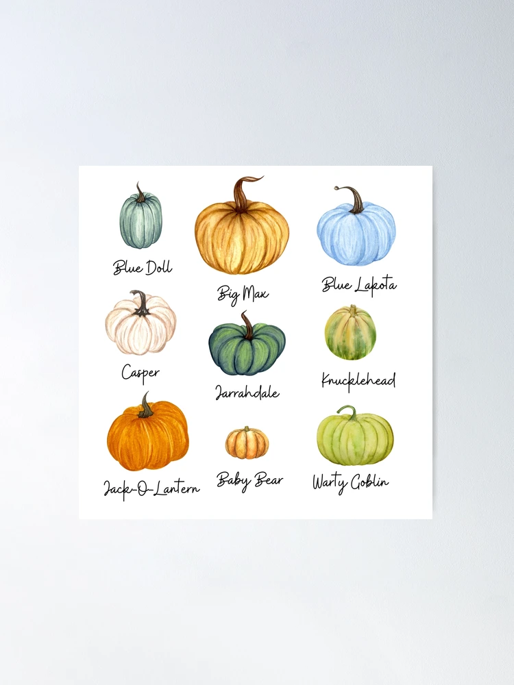 Watercolor Painting Kit, 3 Designs Included, Fall Theme, Harvest, Corn,  Gourds, for Adults, for Kids, Indoor Activity, Beginner Watercolor 