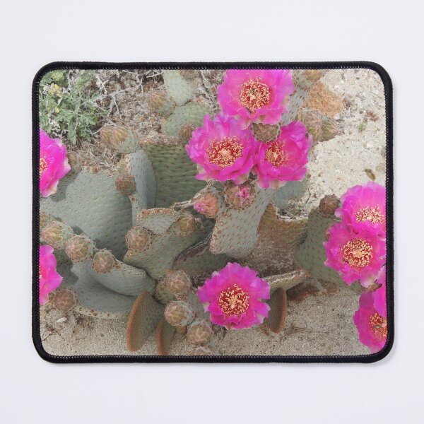 Item preview, Beavertail cactus, nature, gifts, Desert Beauty designed and sold by Sandra O'Toole.