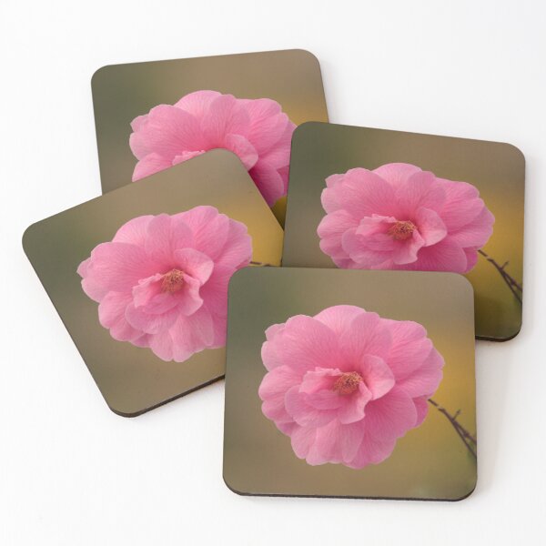 Item preview, Digital photograph of Camelia flower designed and sold by SimonJohnson1.