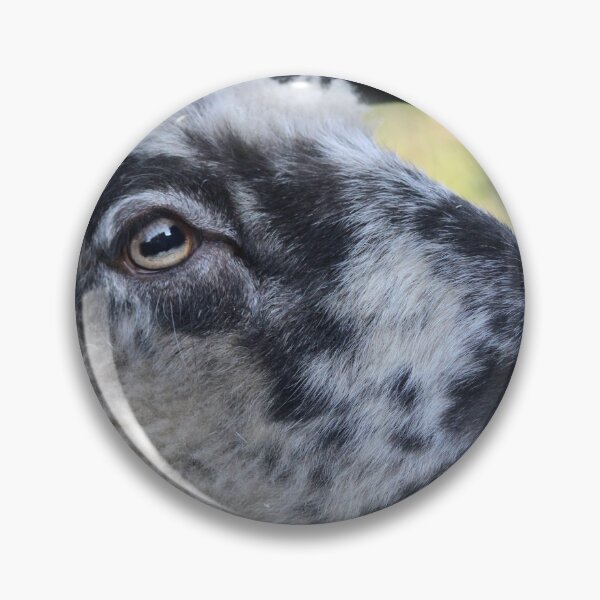 Item preview, Sheep Scratch S designed and sold by CharlottePe21.