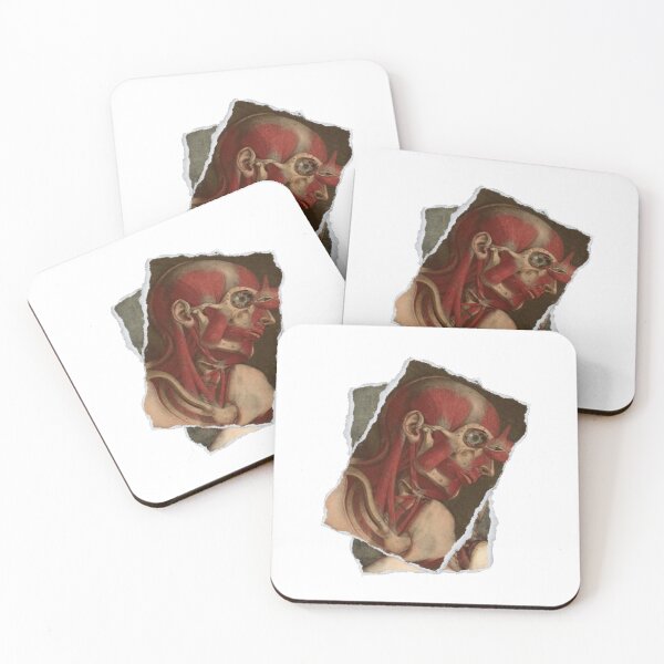 Item preview, Anatomical board Scratched face - Anatomical designs, human body and anatomy boards designed and sold by AdvanceDesign.