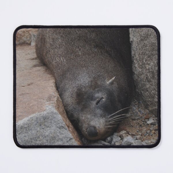 Item preview, Sleeping Seal, Narooma, Australia 2017 designed and sold by muz2142.