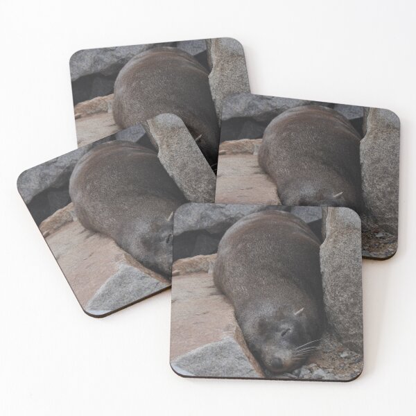 Item preview, Sleeping Seal, Narooma, Australia 2017 designed and sold by muz2142.