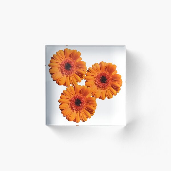Acrylic Block