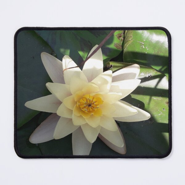 Item preview, White Water Lilly S designed and sold by CharlottePe21.