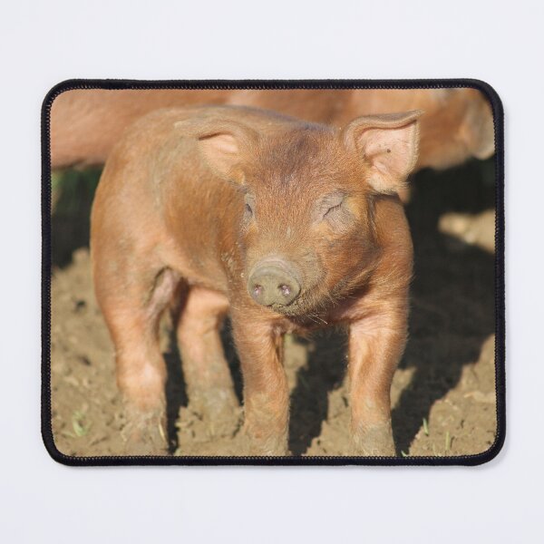 Item preview, Winking Piglet designed and sold by CharlottePe21.