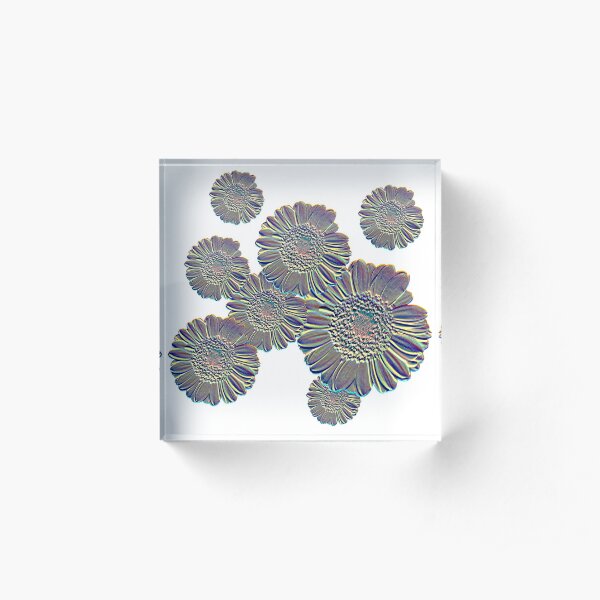 Acrylic Block
