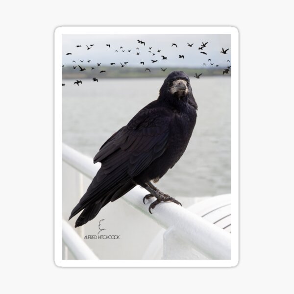 The Birds Sticker