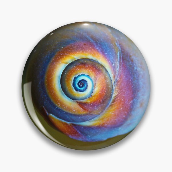 Item preview, Rainbow Snail Shell designed and sold by Linda Sannuti.
