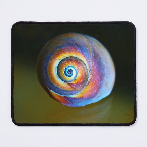 Item preview, Rainbow Snail Shell designed and sold by Linda Sannuti.