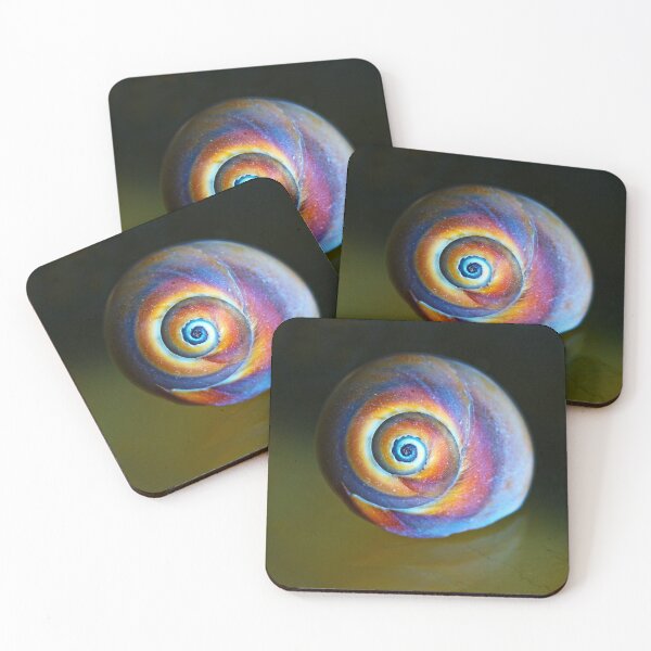 Item preview, Rainbow Snail Shell designed and sold by Linda Sannuti.
