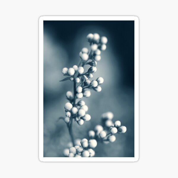 Item preview, Snowballs of shadowy paths designed and sold by Päivikki Annunen.