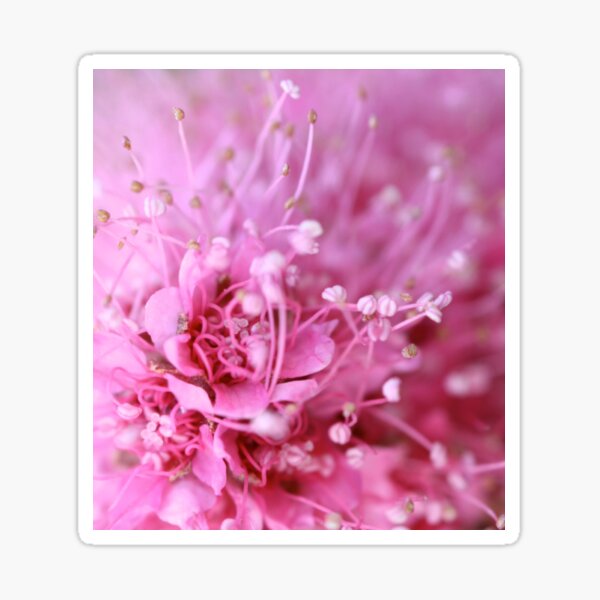 Item preview, Pink dream -small designed and sold by Päivikki Annunen.