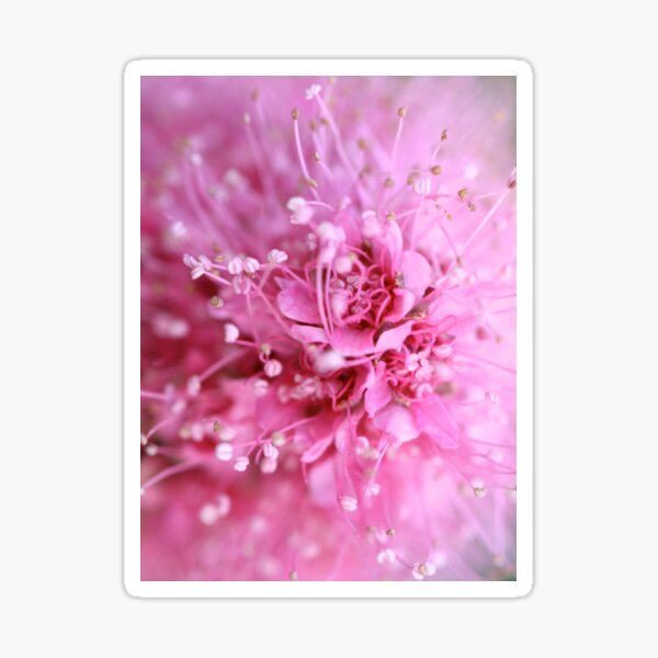 Item preview, Pink dream designed and sold by Päivikki Annunen.