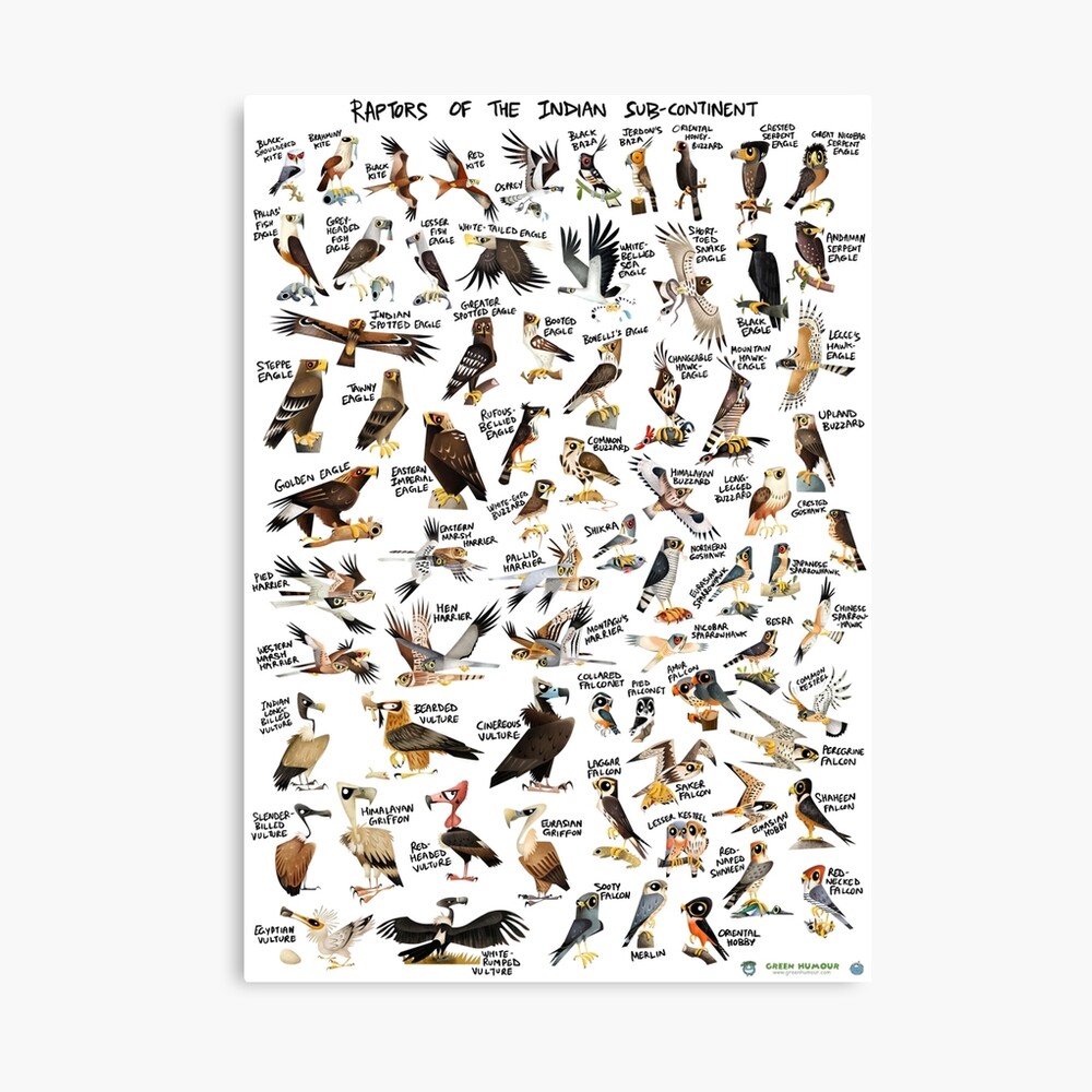 mp,840x830,matte,f8f8f8,t-pad,