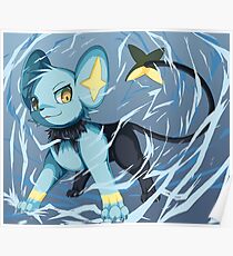 Pokemon Poster