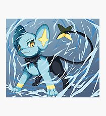 Pokemon Photographic Print