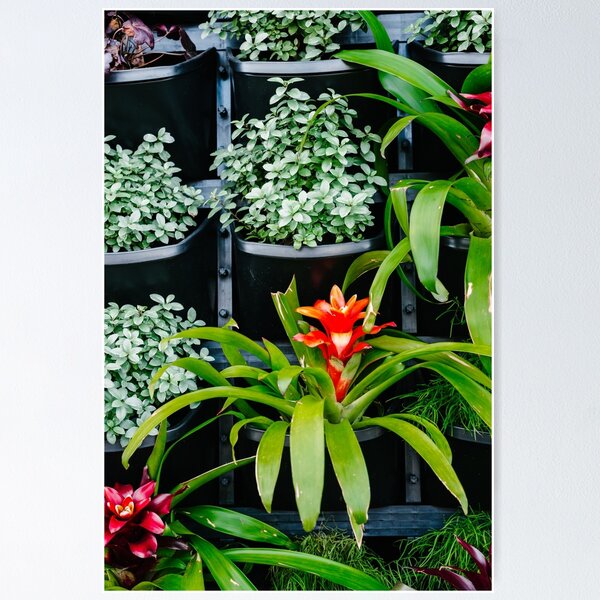 Vertical Garden Posters for Sale | Redbubble