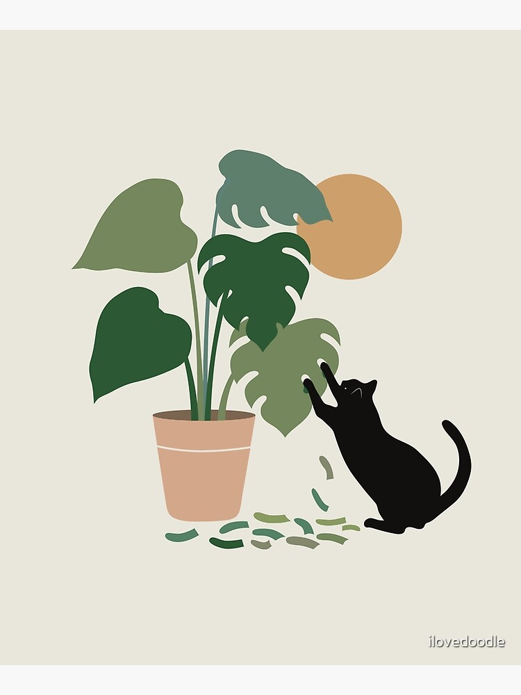 Disover Cat and Plant 13: The Making of Monstera Kitchen Apron