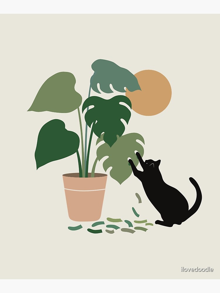 Cat and Plant 13: The Making of Monstera by ilovedoodle