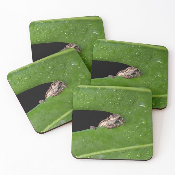 Item preview, Pura Vida Frog designed and sold by mlorenz.