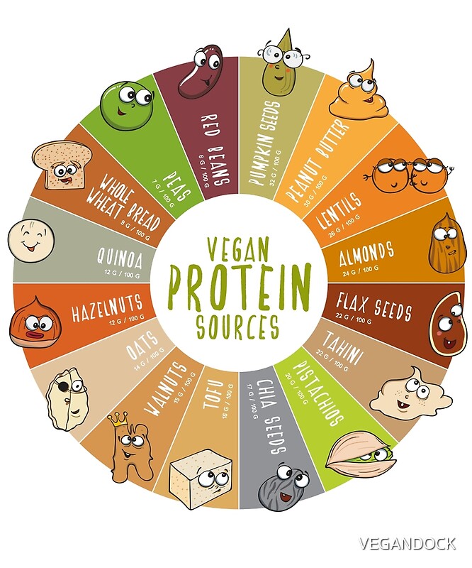 Vegan Protein Sources Chart
