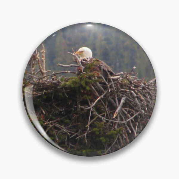 Item preview, Canadian Eagle Nest designed and sold by Honey Myrtle Studio.