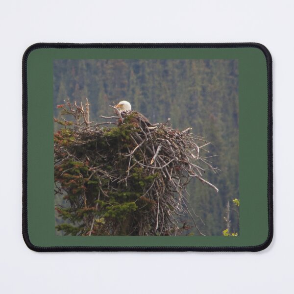 Item preview, Canadian Eagle Nest designed and sold by Honey Myrtle Studio.