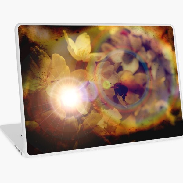 Macbook Air 13" (2015)