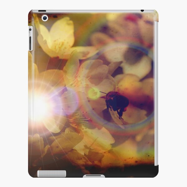 iPad Retina/3/2 - Snap