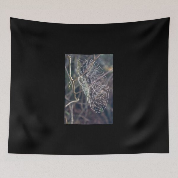Item preview, Clear Spider Web designed and sold by Diego Re.