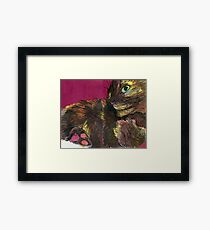 Tortie Paws Framed Print