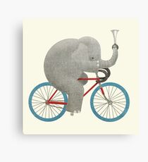 Ride colour option Canvas Print