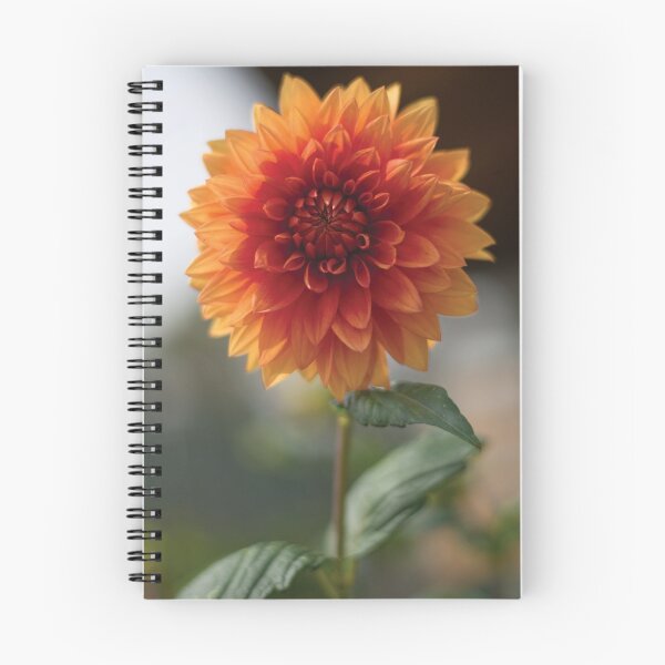Item preview, Beautiful Dalia Flower designed and sold by Diego Re.