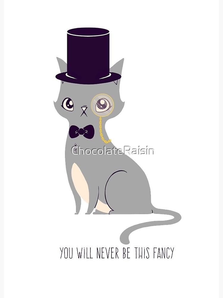 Fancy Cat Fancy Cat