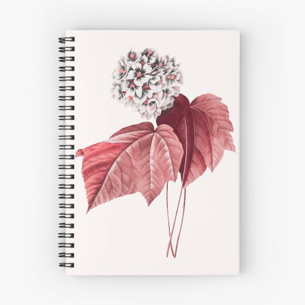 Item preview, Red Alt of Dombeya Amelia Flower designed and sold by DaphneKstudio .
