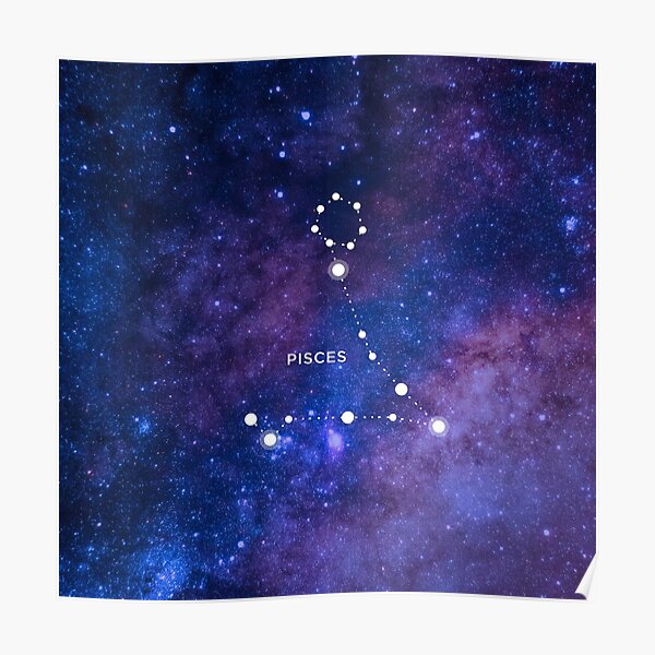 PISCES Poster