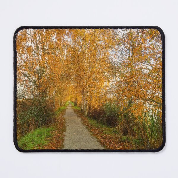 Item preview, The path of autumn designed and sold by Veikko  Suikkanen.