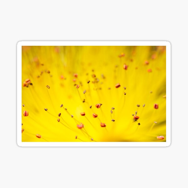 Item preview, Stamens designed and sold by Richard Allen.